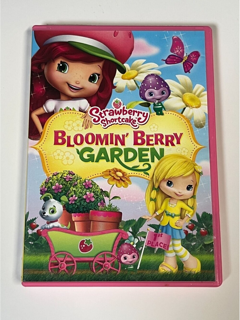 Strawberry Shortcake: Bloomin' Berry Garden DVD Widescreen Children's